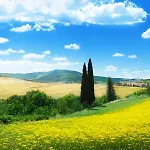 Hotel Latini *
